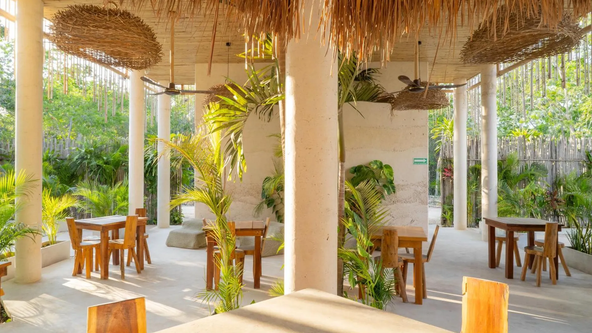 Studios In Tulum By Casago 公寓